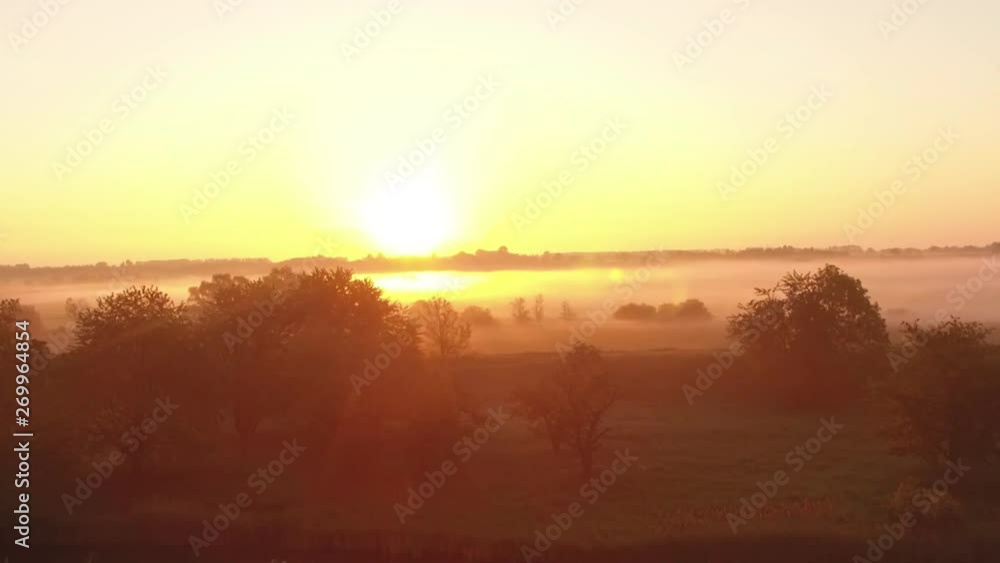 Flight over lake with trees with beautiful morning sunrise Flight over lake with trees with beautiful morning sunrise