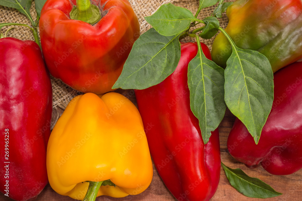 Background of the varicolored bell peppers with twigs and leaves Background of the varicolored bell peppers with twigs and leaves