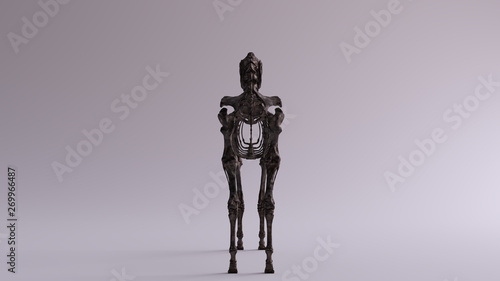 Black Iron Horse Skeletal System Anatomical Model Rear View 3d illustration 3d render