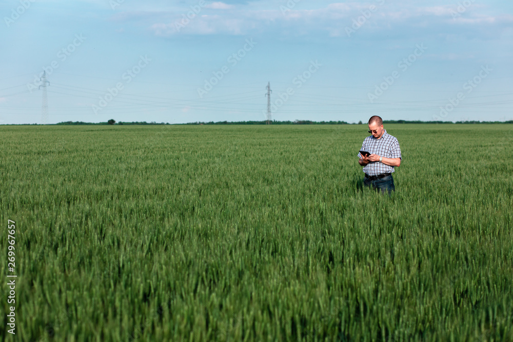 Farmer standing in field holding tablet in his hand and examining wheat crop. Farmer standing in field holding tablet in his hand and examining wheat crop.