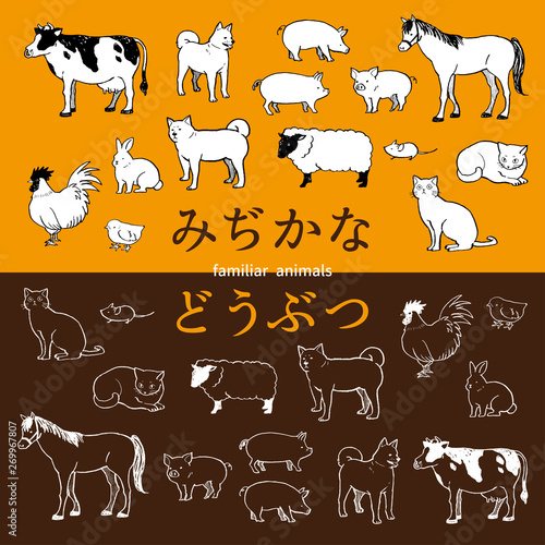 身近な動物