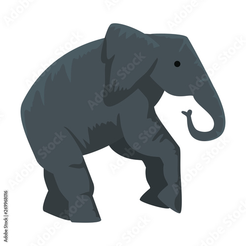circus elephant animal character vector illustration