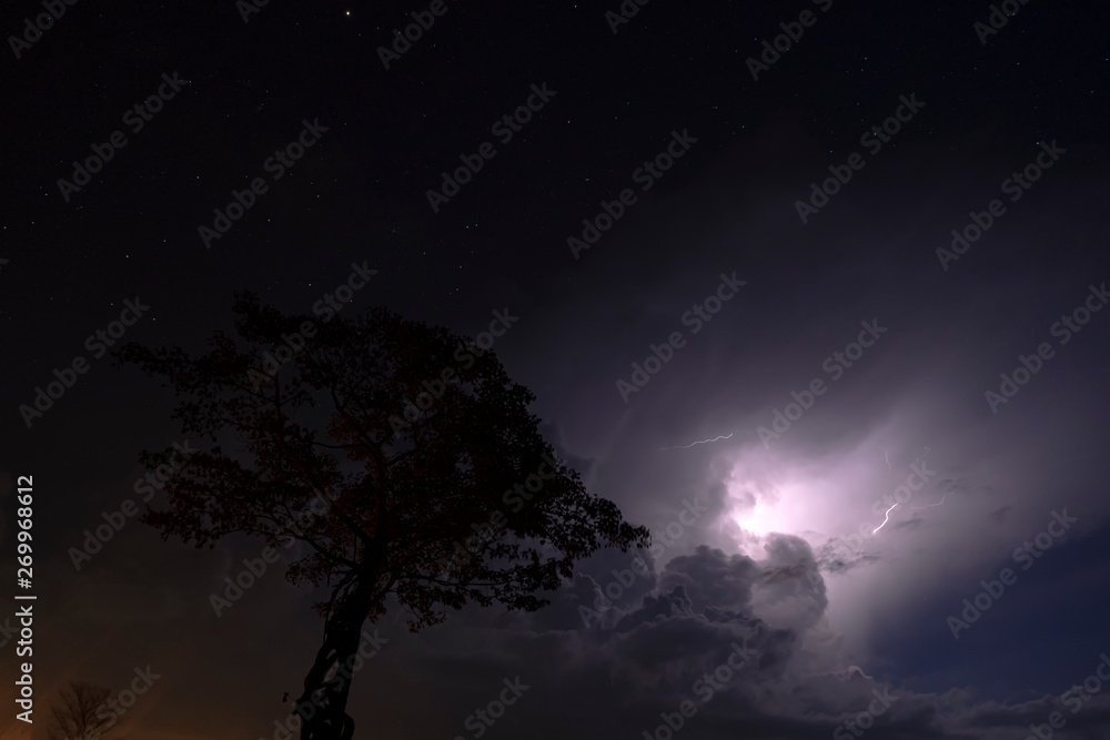 Silhouette tree in the night with rain cloud Silhouette tree in the night with rain cloud