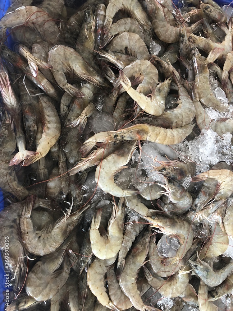 Close up of shrimps in fresh market