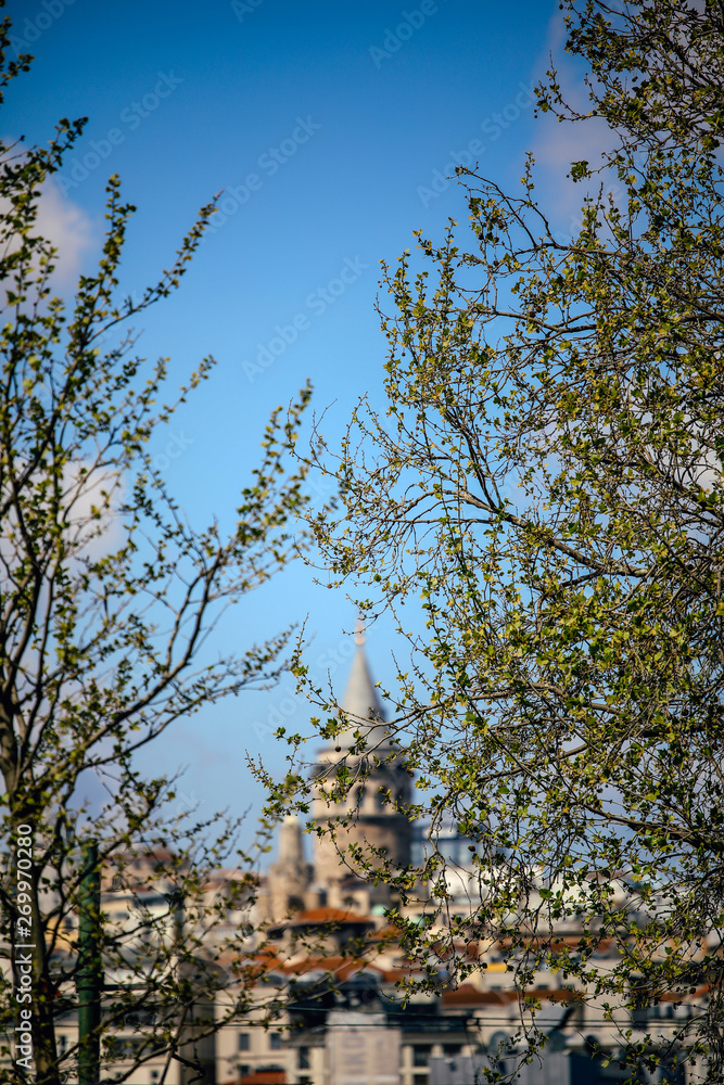 A Beautiful Spring Cityscape in Istanbul, Turkey. Galata Tower. Focus over a Flowering Branch. A Beautiful Spring Cityscape in Istanbul, Turkey. Galata Tower. Focus over a Flowering Branch.