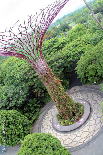 Supertree Grove - Gardens by the Bay - Singapore