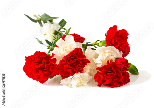 carnation flowers isolatde on white