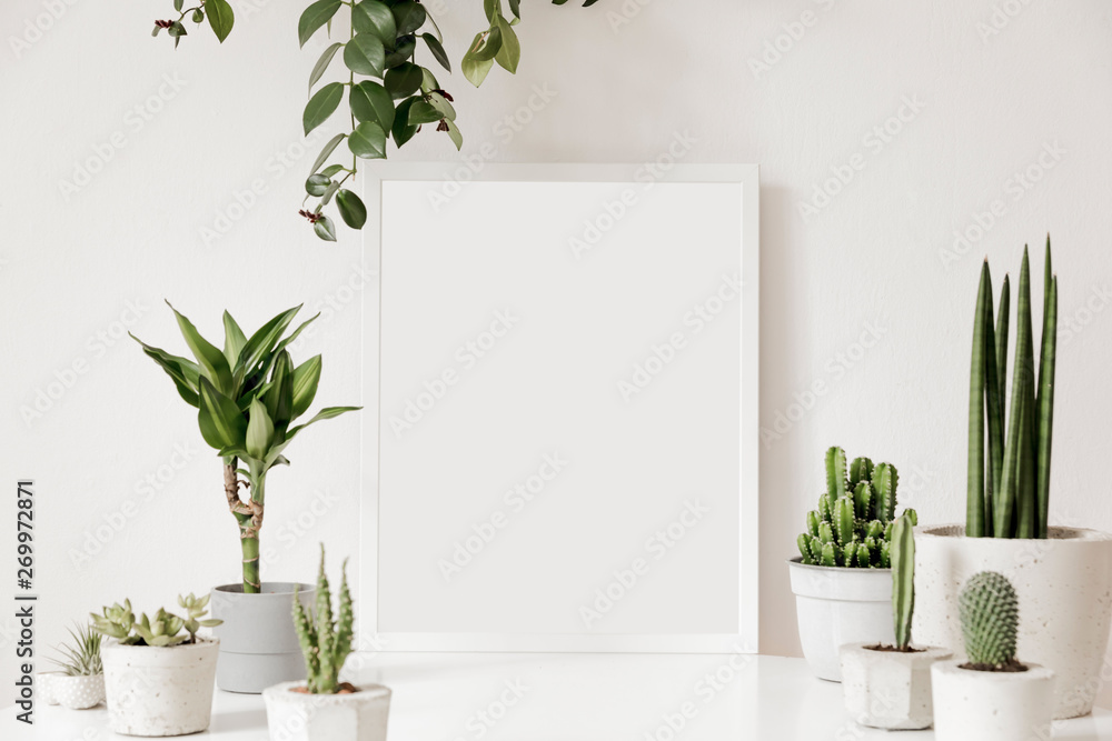 Scandinavian room interior with white mock up photo frame on the table with beautiful plants in differents cement and design pots. White walls. Modern and floral concept of shelfs. Template. Scandinavian room interior with white mock up photo frame on the table with beautiful plants in differents cement and design pots. White walls. Modern and floral concept of shelfs. Template.