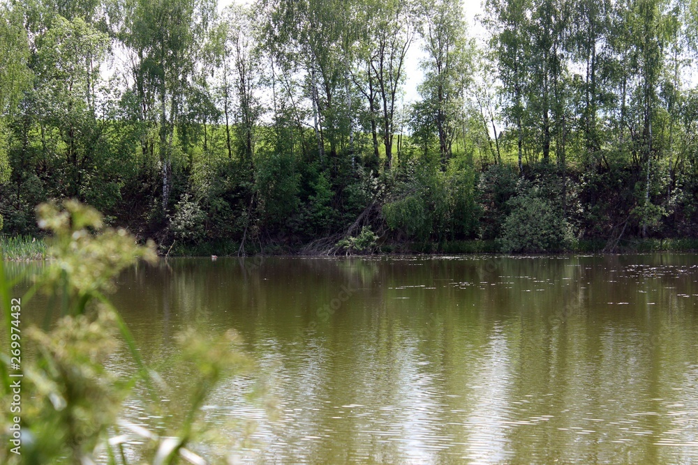 lake in the forest with the reflection of trees in the water lake in the forest with the reflection of trees in the water