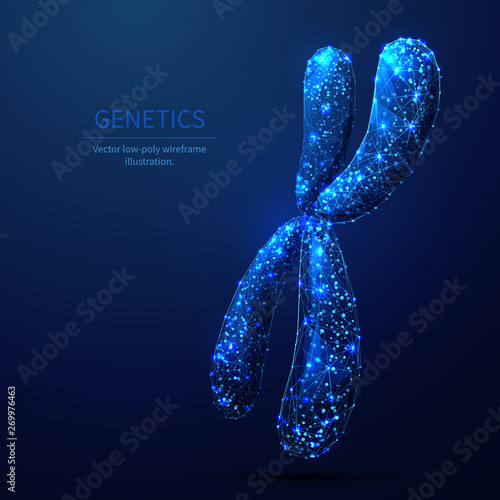 X-chromosome low poly wireframe illustration