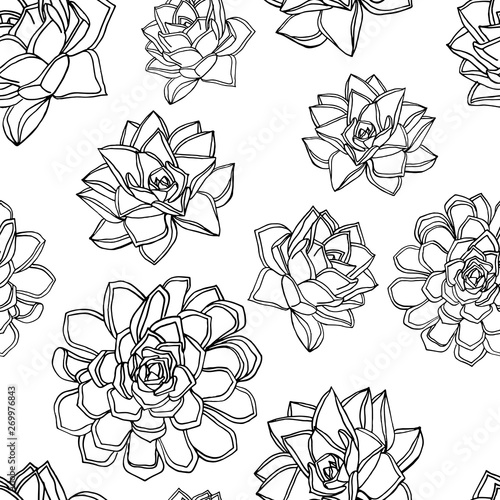 Hand drawn doodle style seamless pattern with common houseleek, Sempervivum tectorum succulents