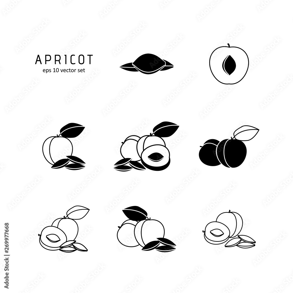 Apricot - vector icon set on white background.