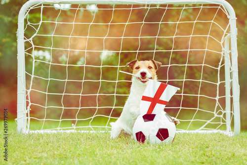 Billede på lærred Dog as funny fan of England national team with flag supporting his team in inter