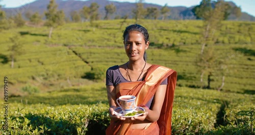 Wallpaper Mural Beautiful Sri Lankan girl with a cup of tea at a tea plantation. Woman invites to taste fresh tea Torontodigital.ca