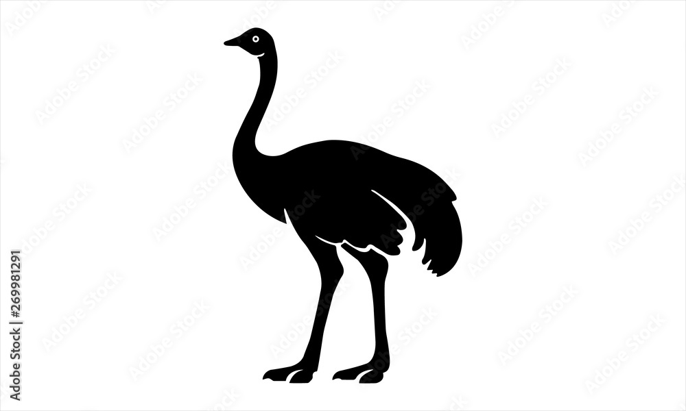 Black silhouettes of an ostrich. Isolated on a white. Vector illustration. - Vector 
