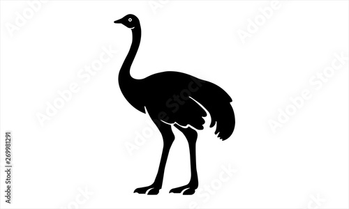 Ostrich icon for wildlife or nature-themed designs