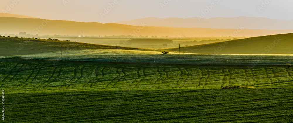 Field in Yambol, Bulgaria, morning sun