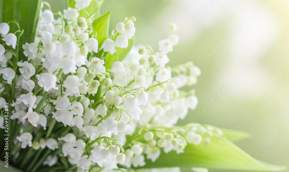 may flowers lilies of the valley on a blurred background in the sun may flowers lilies of the valley on a blurred background in the sun
