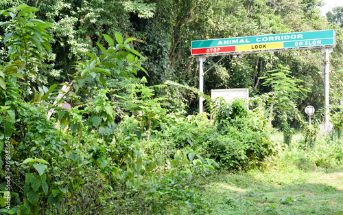 Directional post of Neora Valley National Park, Dunga Hill Camp area, Northeast India Suntalekhola, Samsing. It offers unhindered view of the beautiful green landscape and high mountains. photo