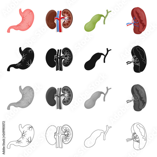 Vector design of body and human sign. Collection of body and medical vector icon for stock.