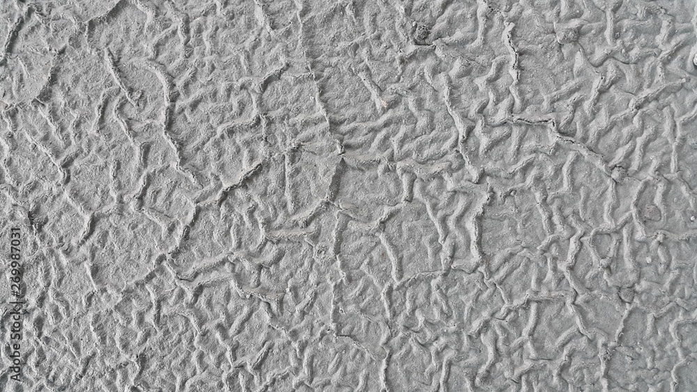 Dust skin taxture on floor and taxture detail of surface is abstract background Dust skin taxture on floor and taxture detail of surface is abstract background