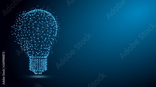 Lightbulb with network structure photo