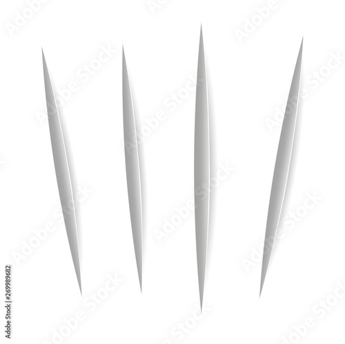Vector realistic Cuts in paper sheet with a shadow on white background. 3d incision in the paper. Set of vertical cuts. Claw or a knife marks.