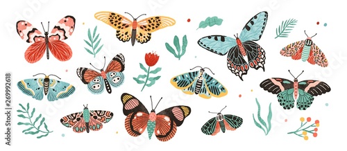 Collection of elegant exotic butterflies and moths isolated on white background. Set of tropical flying insects with colorful wings. Bundle of decorative design elements. Flat vector illustration. photo