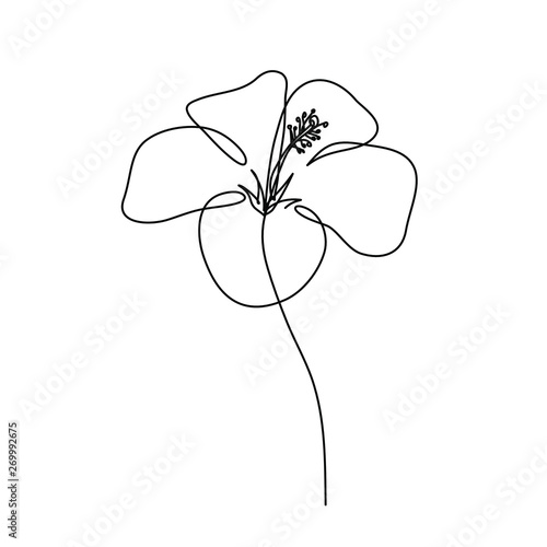 Hibiscus flower. Chinese rose one line drawing. Editable line