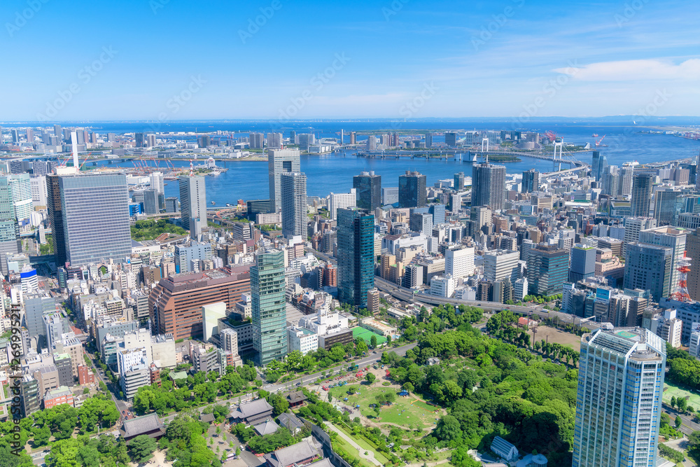 Fototapeta premium Pejzaż Tokio