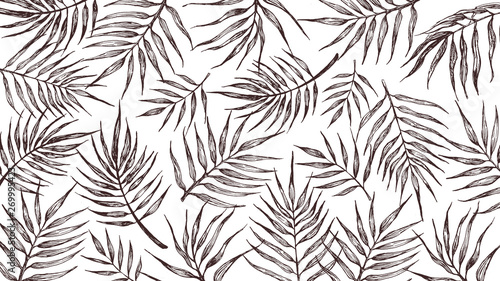 Background with tropical leaves on a white background.