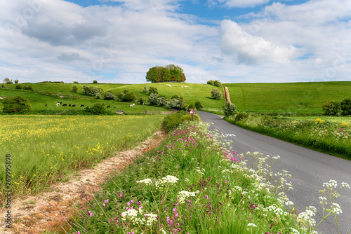 The white horse on Hackpen Hill in Wiltshire photo