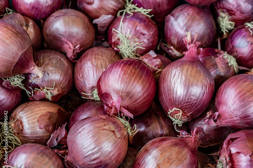 Vegetable background of many raw red onions. Red onions closeup. 