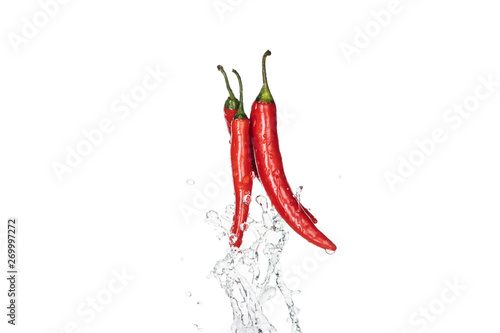 colorful spicy red chili peppers with clear water splash isolated on white