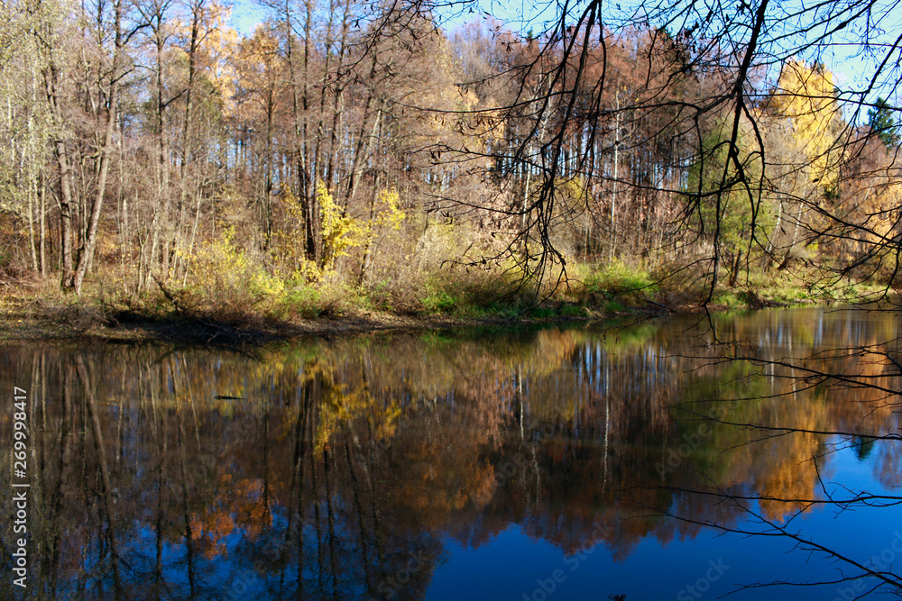 Trees by the pond with reflection in the water on a sunny autumn day Trees by the pond with reflection in the water on a sunny autumn day