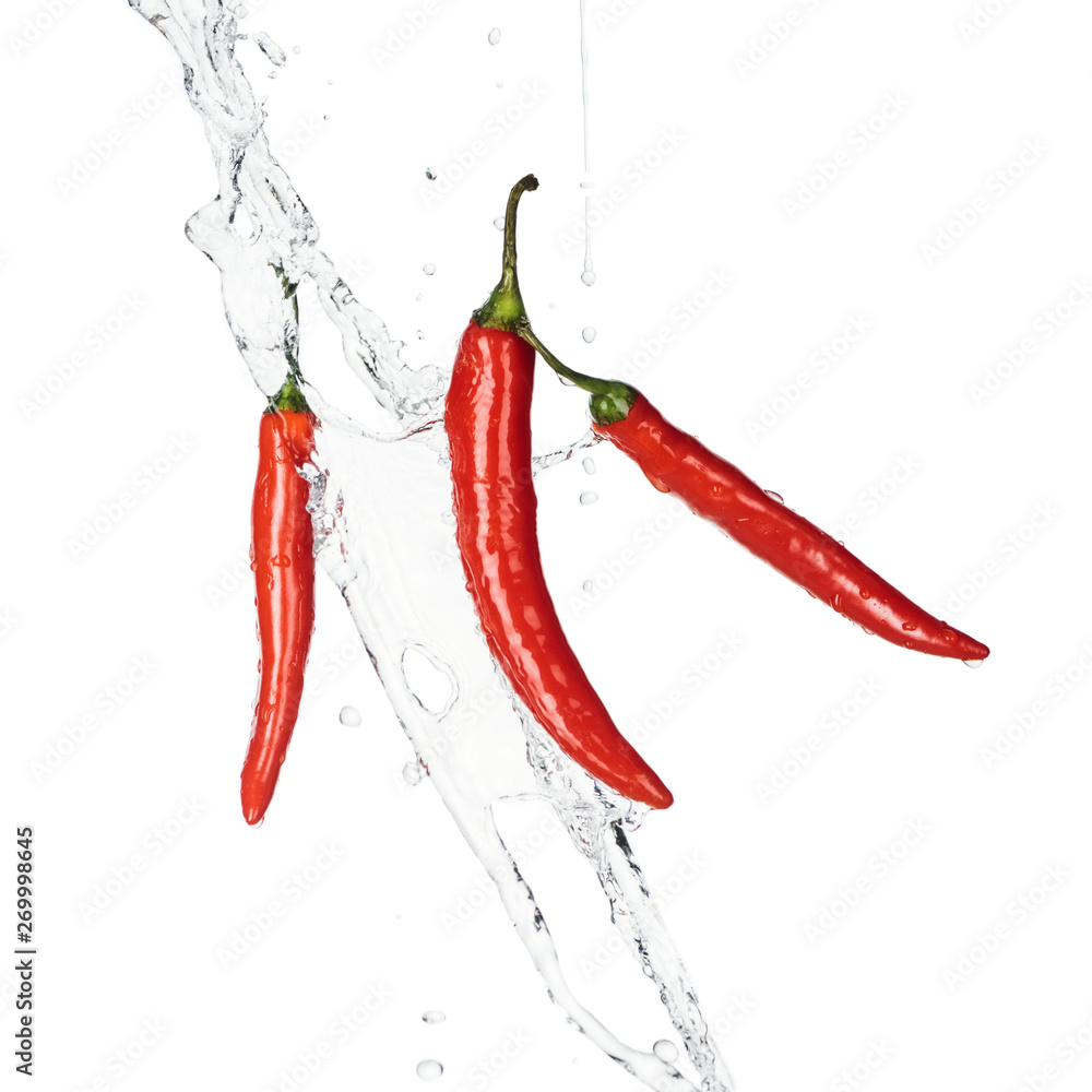 spicy red chili peppers with clear water splash and drops isolated on white spicy red chili peppers with clear water splash and drops isolated on white