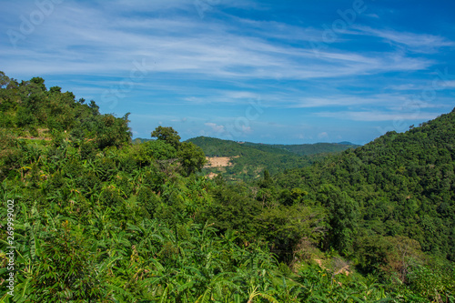 Exotic tropical mountain forest from the Koh Samui Island in the Thailand with palms and trees