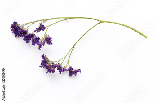 Dried flowers on white background. Flat lay  top view.