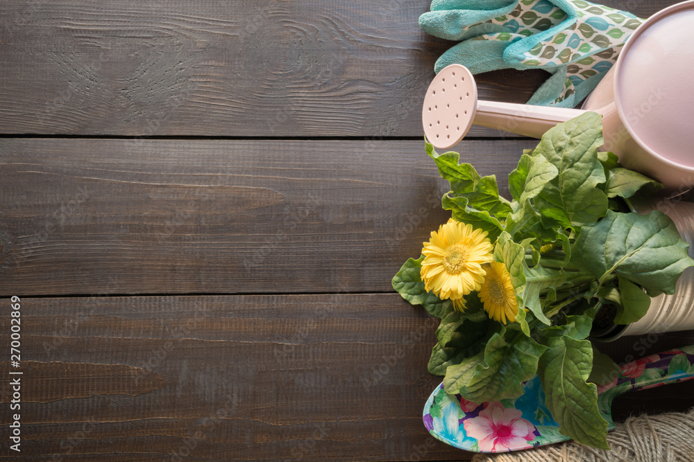 Gardening tools, flowers and rope on wooden table. Spring and work in the garden. Gardening tools, flowers and rope on wooden table. Spring and work in the garden.