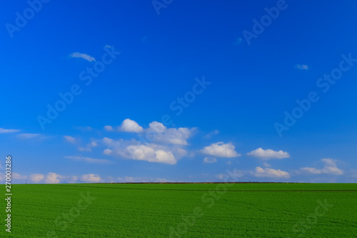 日本　北海道　絶景の青空と草原 © ラト