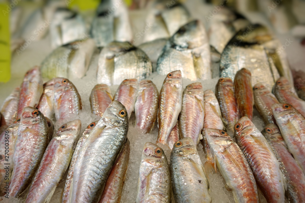 Fish Food in a Fish Market Stand