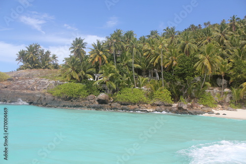 private island beach seychelles palm coconut sand sun