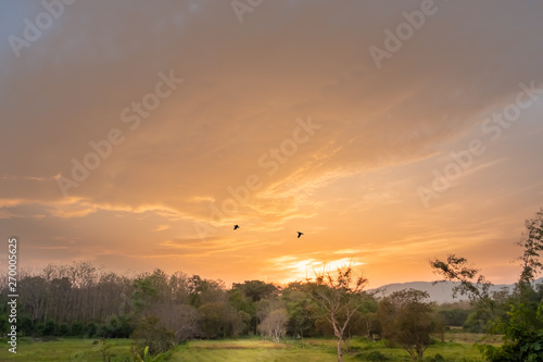 Sunset with rice field and garden views.