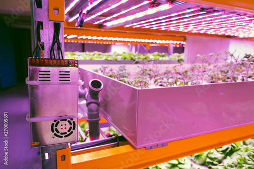 Electronics controling aquaponics system that combines fish aquaculture with hydroponics, cultivating plants in water under artificial lighting