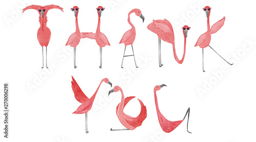 Hand drawn watercolor flamingos. Flamingo Thank You lettering