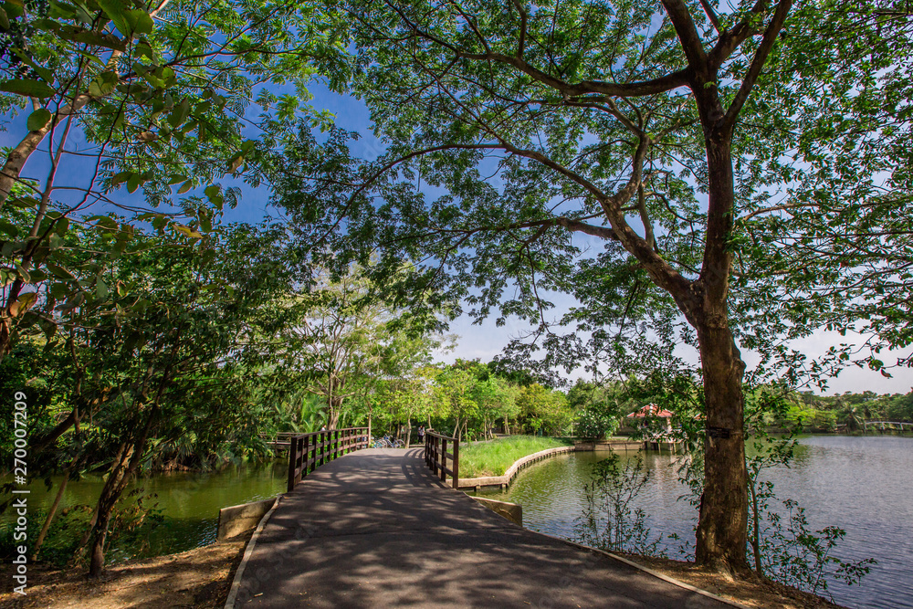 Bang Kachao:May26,2019,atmosphere in park near Bangkok,with people visiting nature,cycling, couples,families with young children,friends group to relax during the holiday,area Bang Nam Phueng,Thailand Bang Kachao:May26,2019,atmosphere in park near Bangkok,with people visiting nature,cycling, couples,families with young children,friends group to relax during the holiday,area Bang Nam Phueng,Thailand