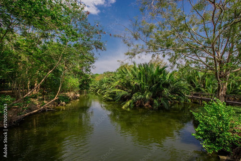 Bang Kachao:May26,2019,atmosphere in park near Bangkok,with people visiting nature,cycling, couples,families with young children,friends group to relax during the holiday,area Bang Nam Phueng,Thailand Bang Kachao:May26,2019,atmosphere in park near Bangkok,with people visiting nature,cycling, couples,families with young children,friends group to relax during the holiday,area Bang Nam Phueng,Thailand