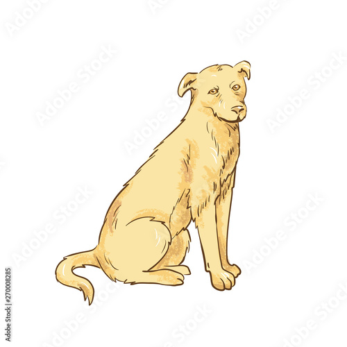 Dog sketch vector illustration