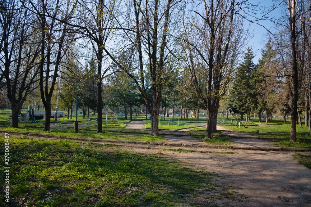 Paths of recreation park for children and adults. Bright green young spring greens perfectly with the sun rays and the shadows of the trees. Paths of recreation park for children and adults. Bright green young spring greens perfectly with the sun rays and the shadows of the trees.