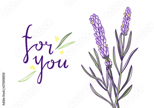 Beautiful vector card with lavender violet flowers and lettering. Greeting card design template
